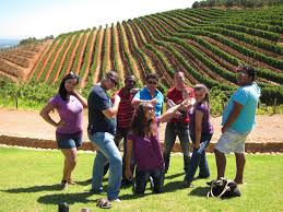 Budget Stellenbosch Wine Tour