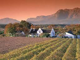 Franschhoek Private Tours